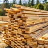 Long Length & Dimensional C16/C24 Graded Larch/Douglas Fir Carcassing Timber